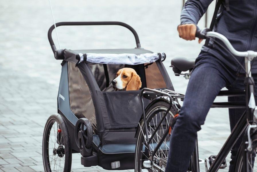 Das Bild zeigt einen Thule Courier mit einem Hund