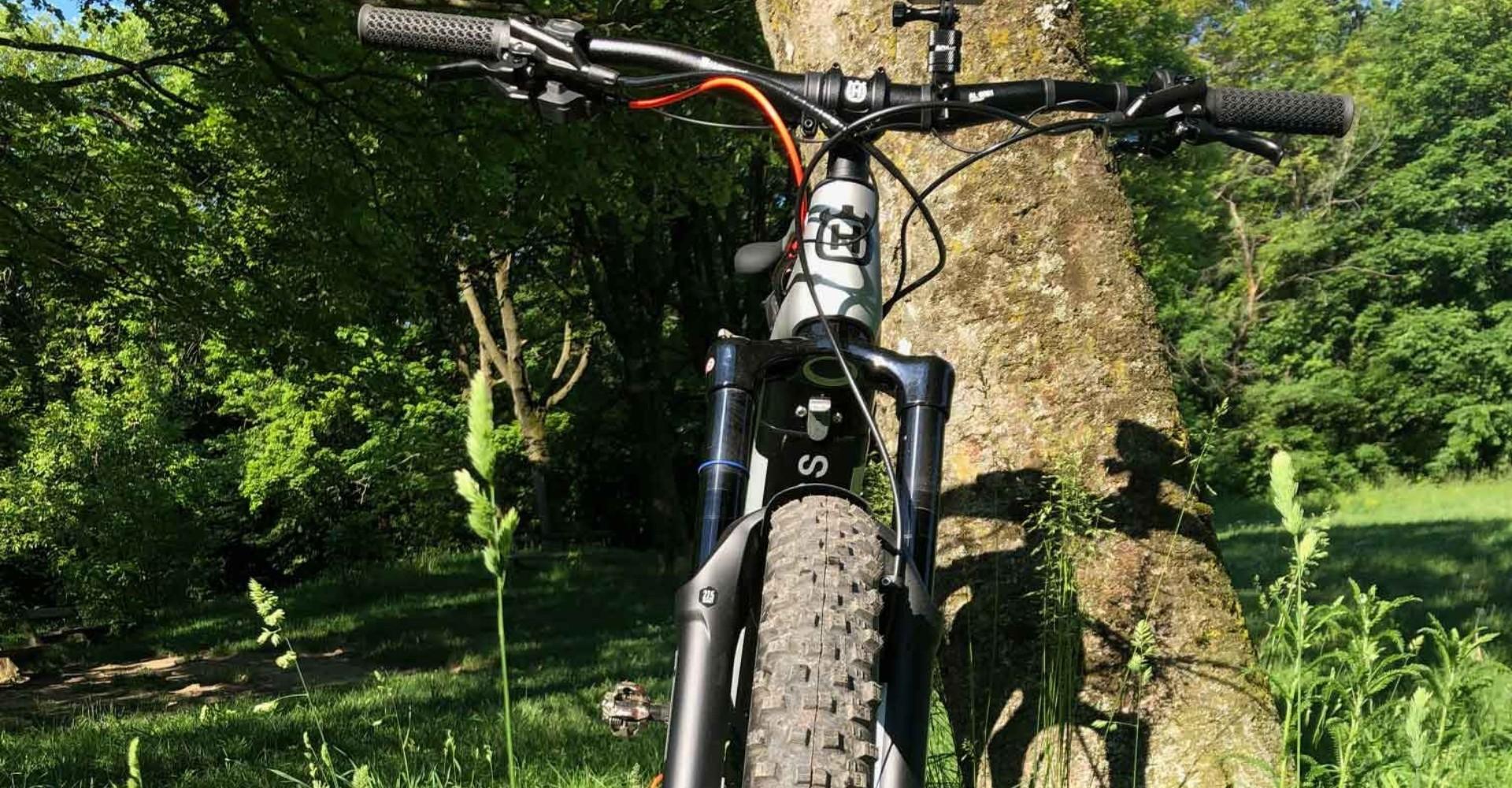 Das Husqvarna MC5 lehnt an einem Baum in grüner Umgebung
