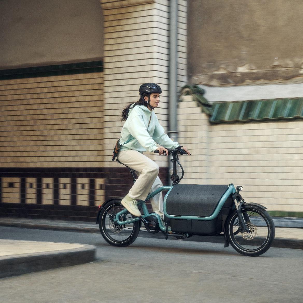 Das Bild zeigt eine Frau auf einem Carrie Lastenrad der Marke Riese & Müller.