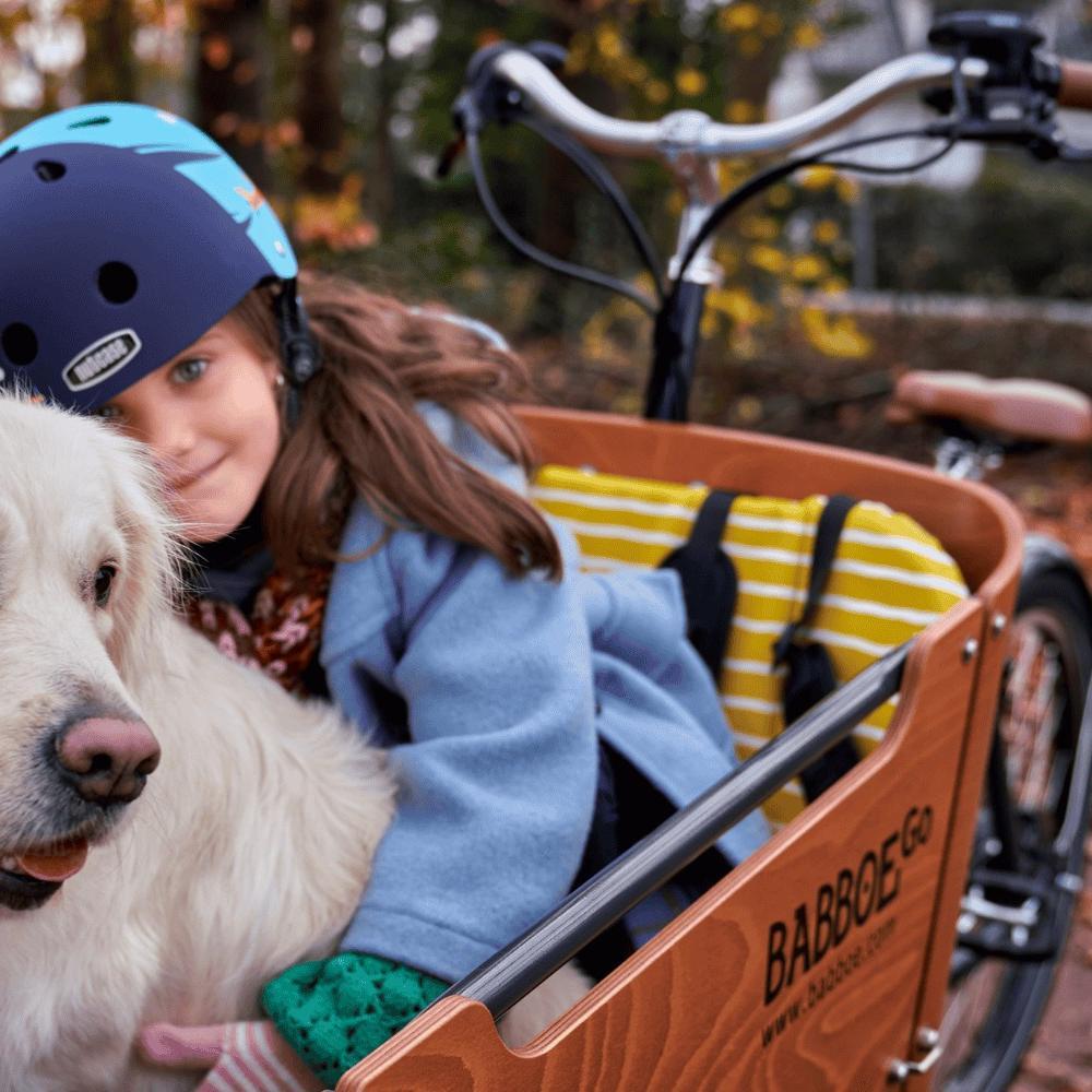Ein Mädchen sitzt in der Transportbox des Babboe Go Lastenrades mit ihrem Hund