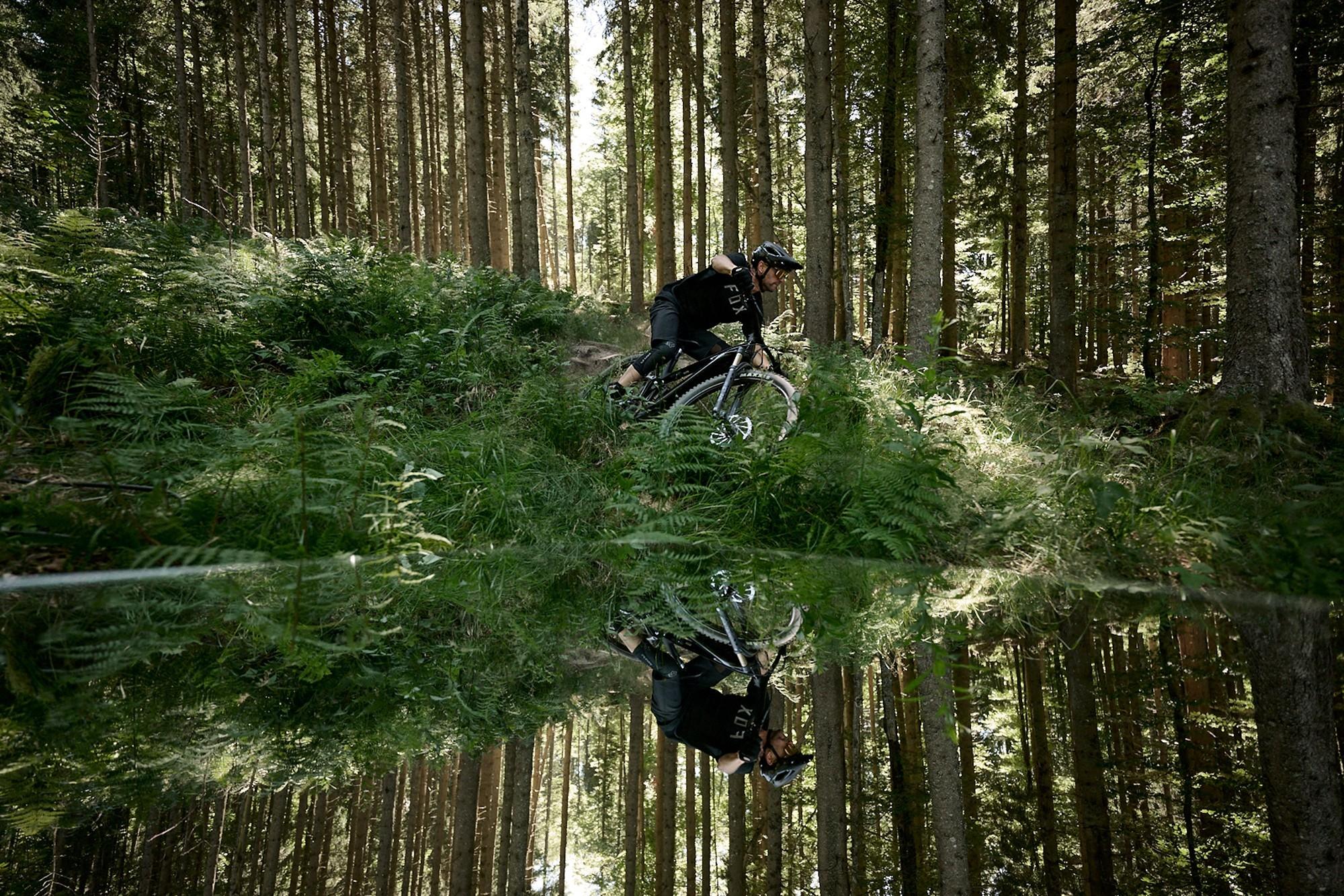 Das Bild zeigt ein E-Bike vom Modell Giant Trance X Advanced E+ LTD, das sich in einem bewaldeten Gelände befindet.