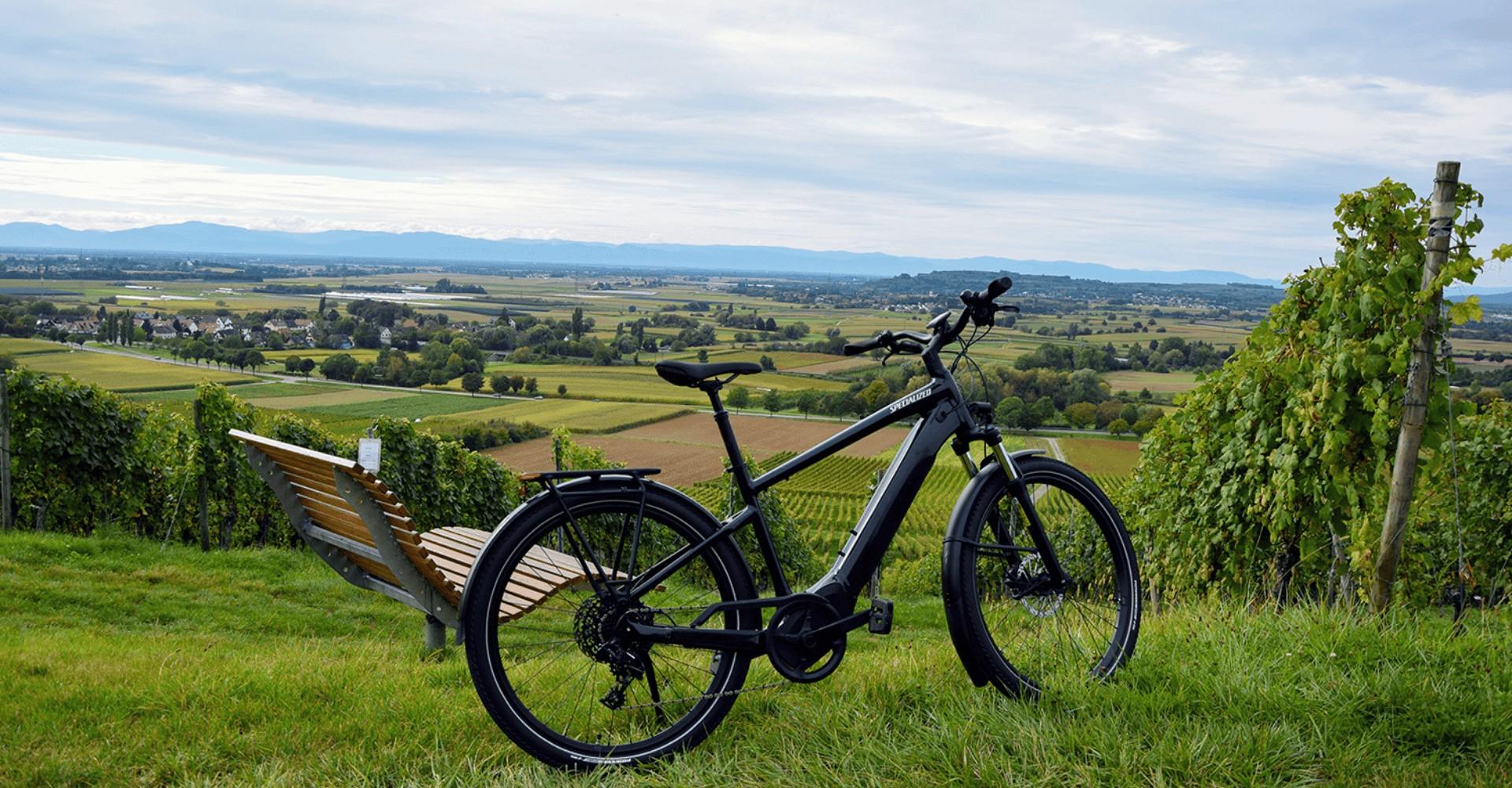 Das Specialized Turbo Vado 4.0 im malerischen Weinbaugebiet