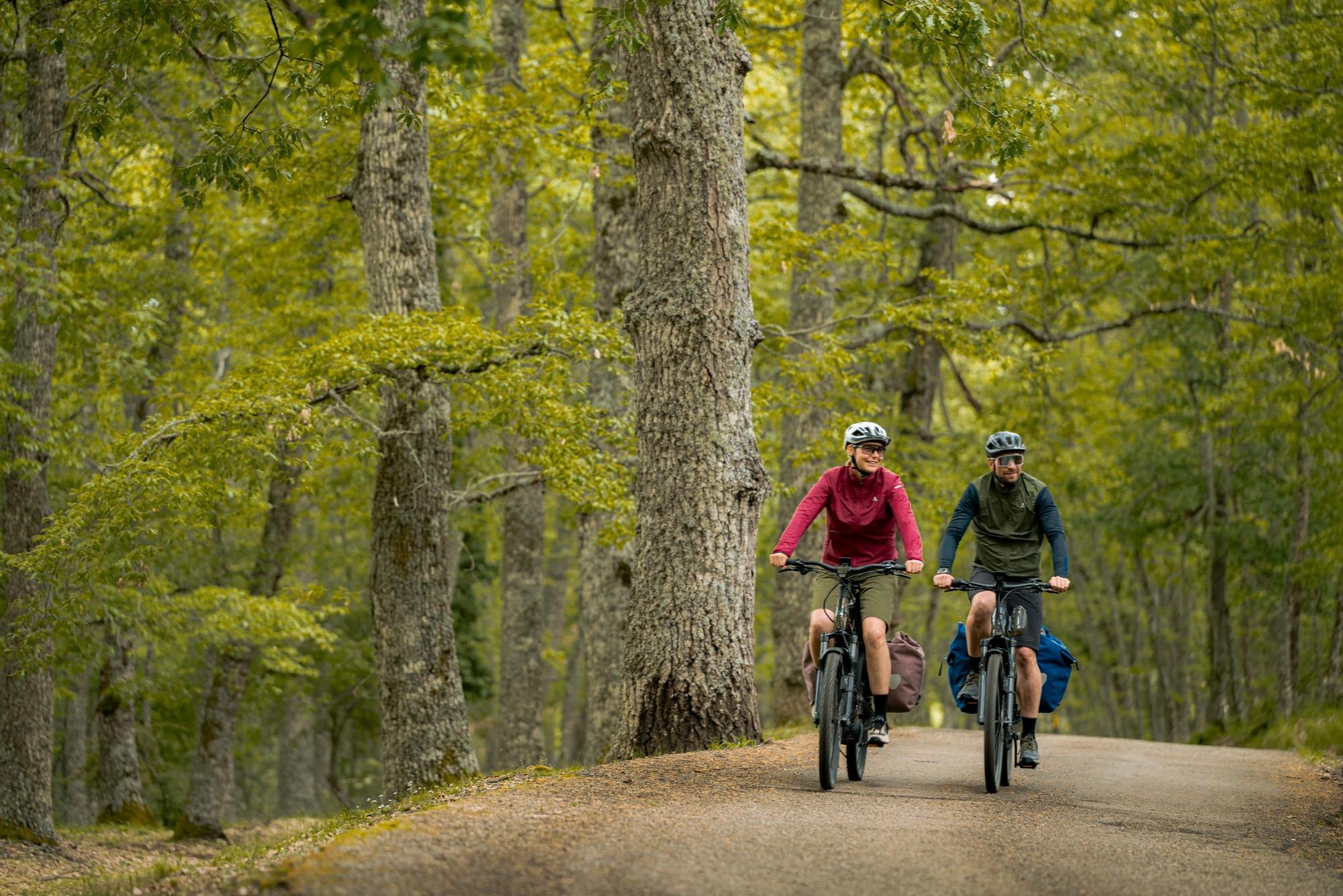 Zwei Personen fahren durch den Wald auf Bosch e-Bikes