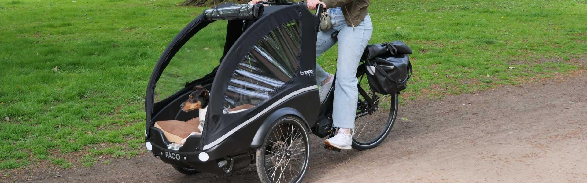 Das Bild zeigt ein Winther Kangaroo E-Bike, das speziell für den Transport von Haustieren konzipiert ist