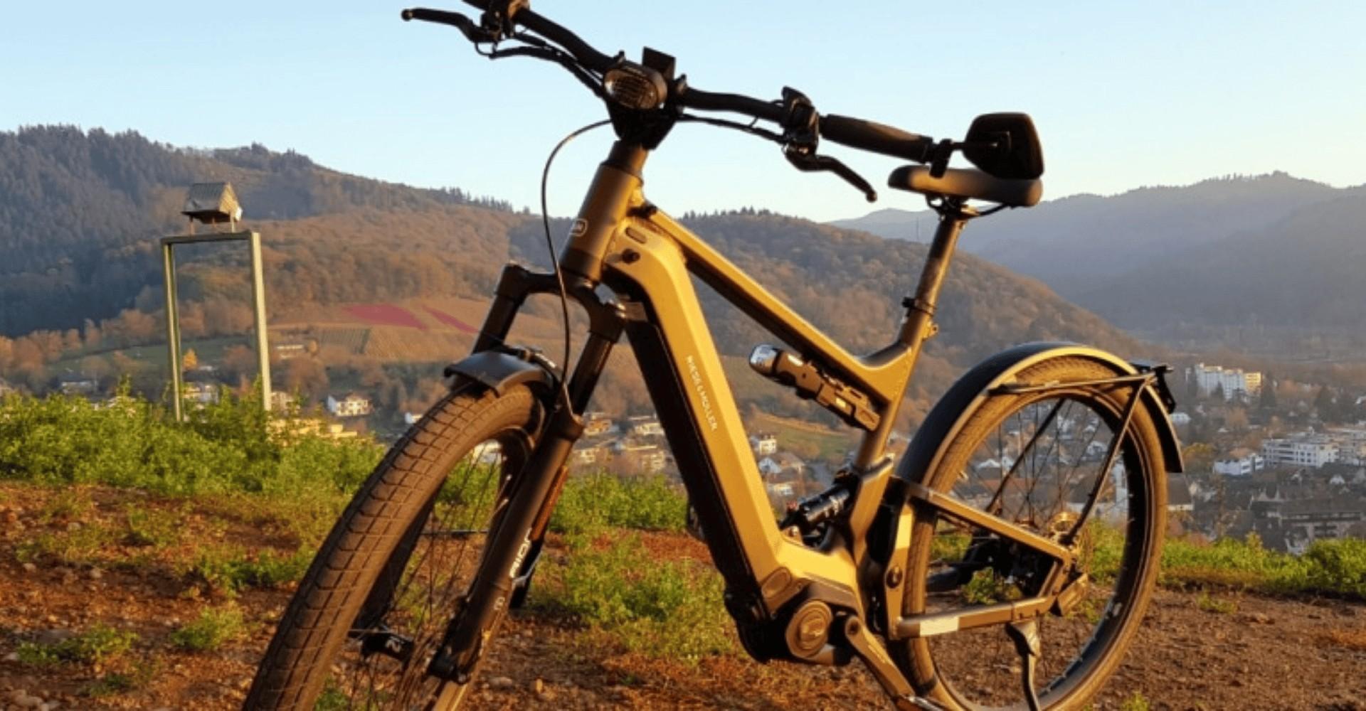 Das e-Bike Riese & Müller Delight GT Rohloff HS 2021 auf einem Berg