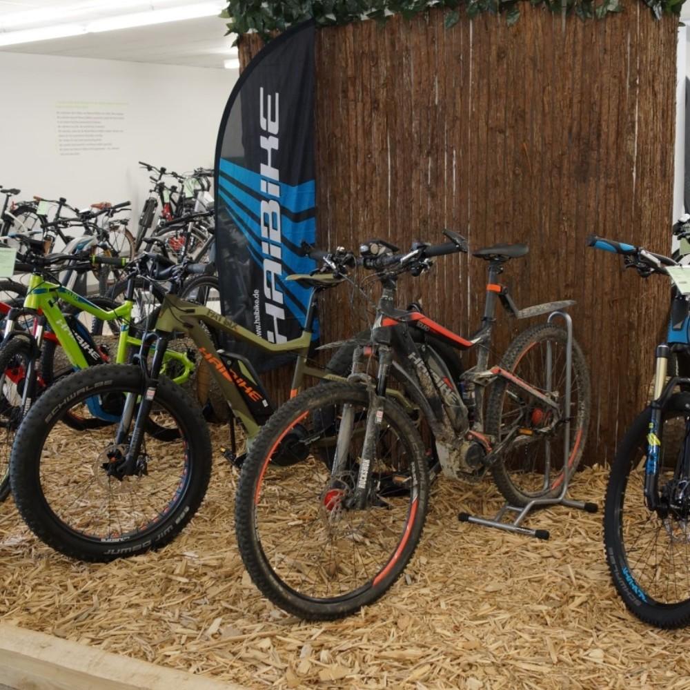 Die e-motion e-Bike Welt in Stuttgart verleiht Bronzemedaillen für die Radballer Tarik und Moritz.