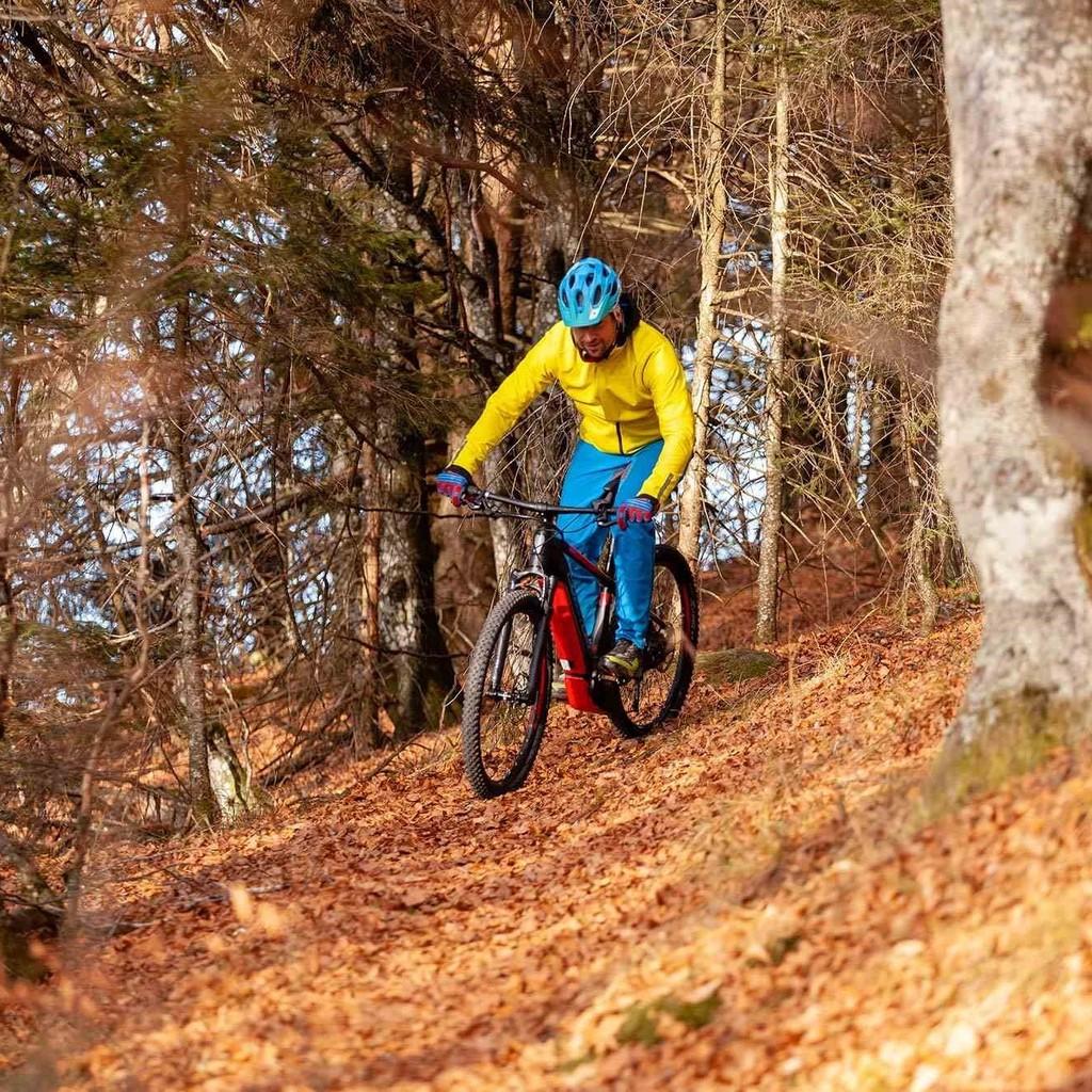 Erleben Sie das Corratec X-Vert Pro Hardtail 2019 in Aktion. Perfekt für aufregende Waldabenteuer und anspruchsvoll