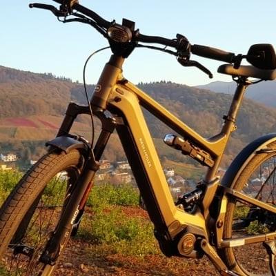 E-Bike Riese & Müller Delight vor malerischer Berglandschaft