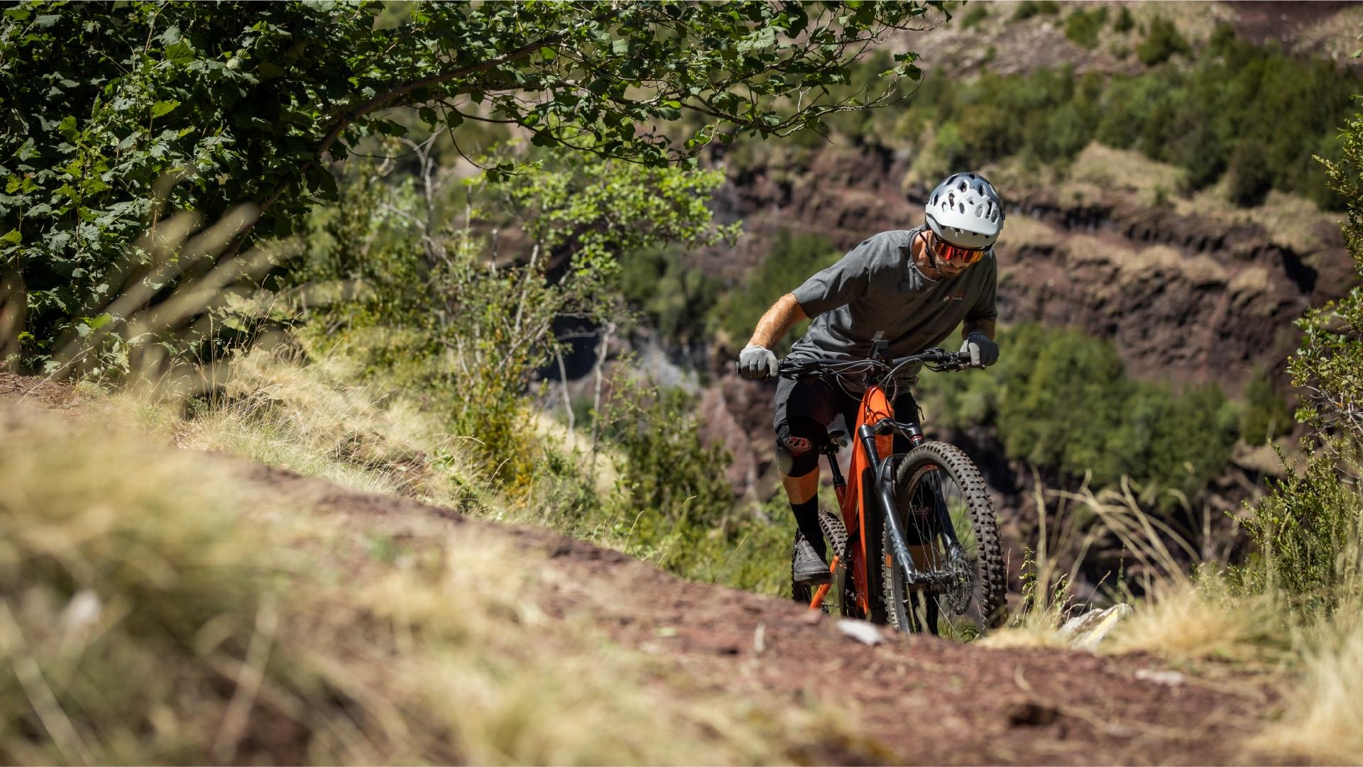 Eine Person fährt mit einem e-MTB den Berg hoch, Bosch Performance Line CX Race Limited Edition