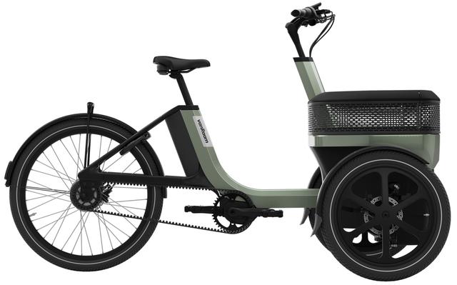 Thuja Active Shimano