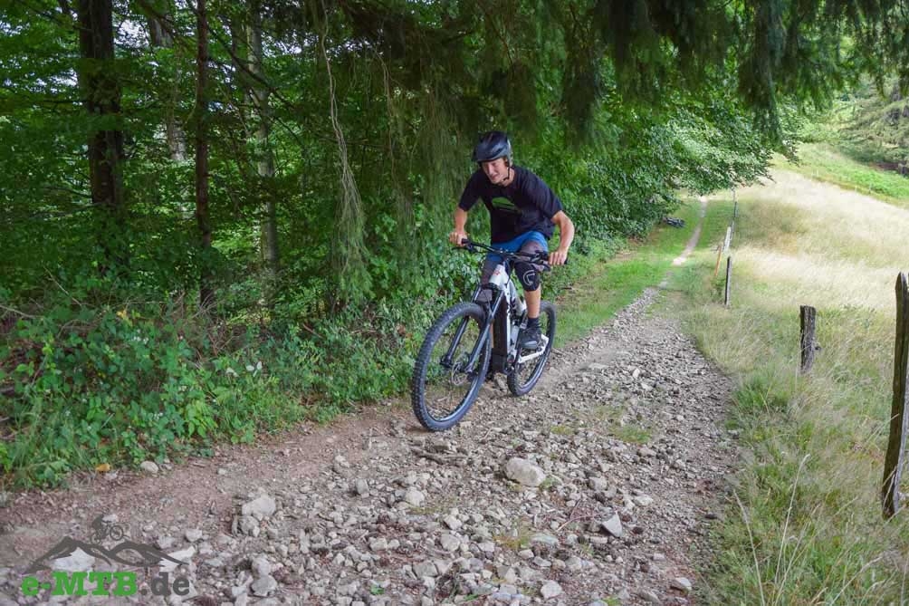 Erleben Sie das Rotwild TrailRay E-Mountainbike auf anspruchsvollen Trails. Perfekt für Abenteuerlustige und Offroa