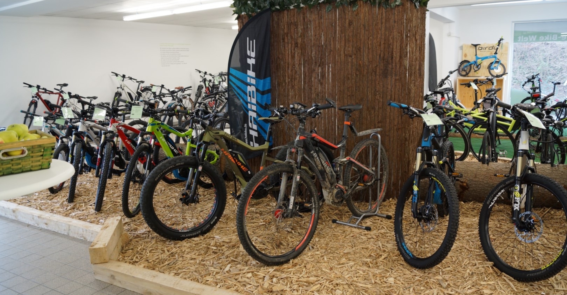 Die e-motion e-Bike Welt in Stuttgart verleiht Bronzemedaillen für die Radballer Tarik und Moritz.