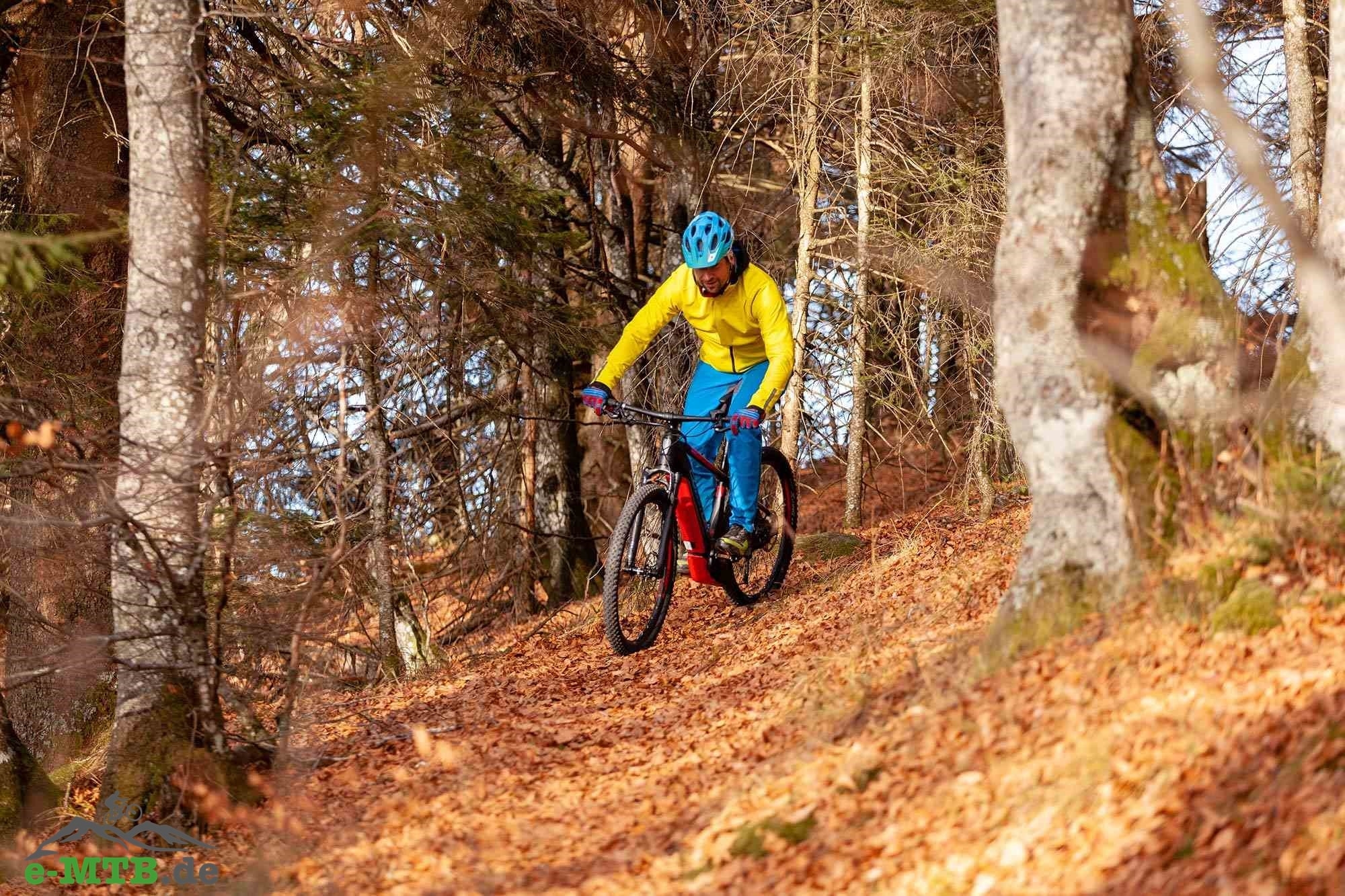 Erleben Sie das Corratec X-Vert Pro Hardtail 2019 in Aktion. Perfekt für aufregende Waldabenteuer und anspruchsvoll