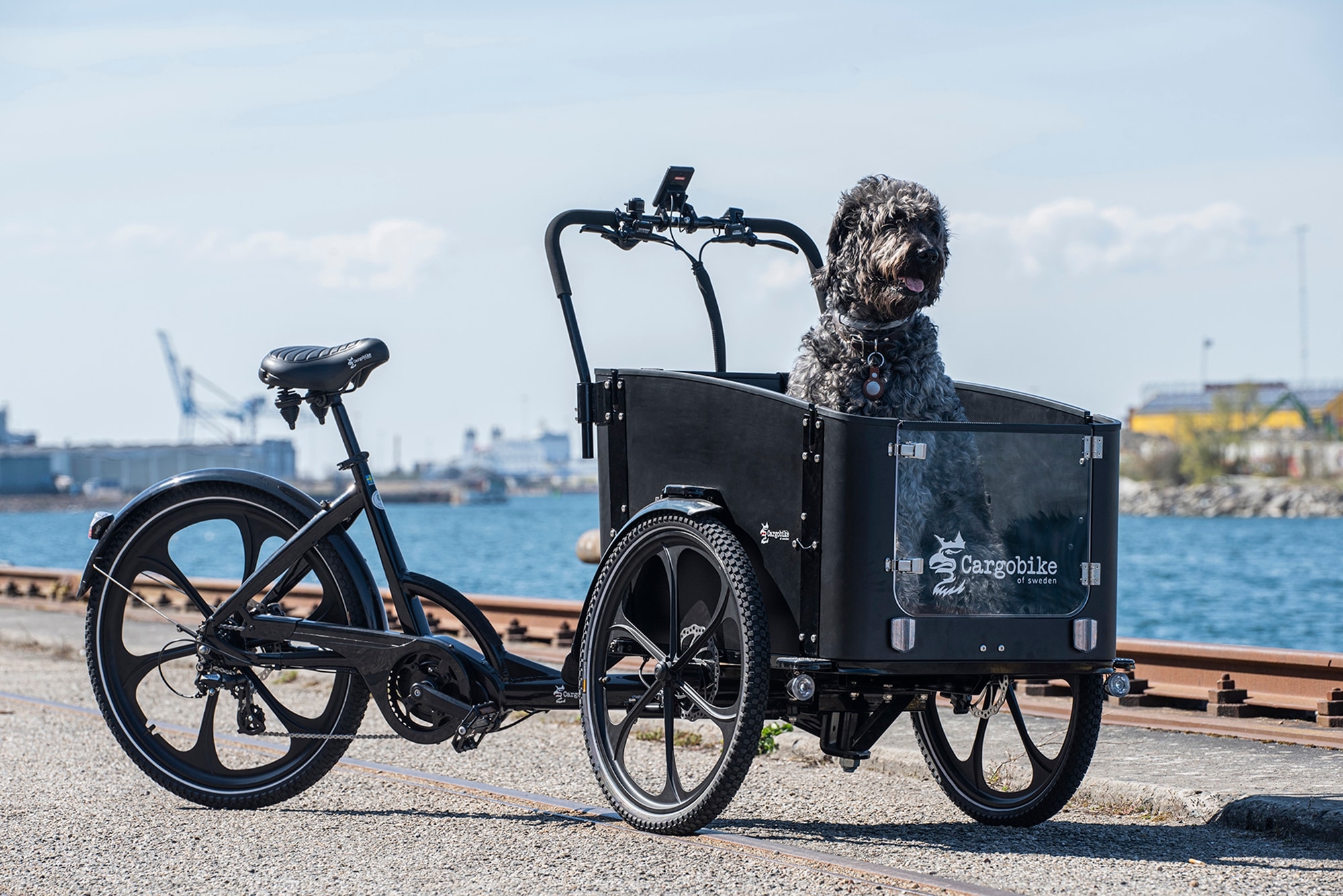 Entdecken Sie das stilvolle Cargobike of Sweden Modell, ideal für komfortable Ausflüge mit Ihrem Hund.