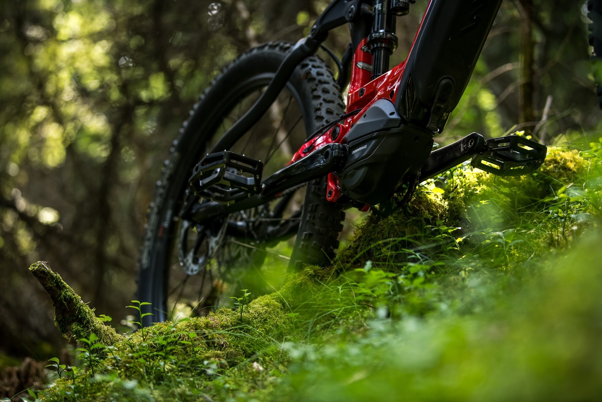Das Bild zeigt ein Ausschnitt eines roten e-Bikes mit dem Shimano EP8 Motor im Wald