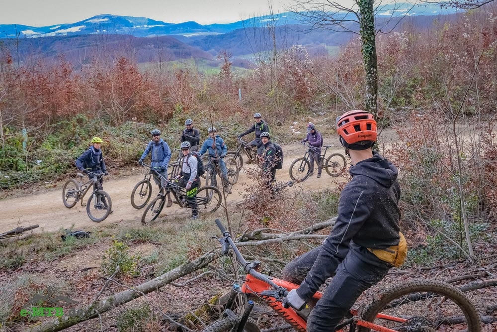 Eine Gruppe von Radfahrern mit E-Bikes genießt eine Geländefahrt im herbstlichen Wald. Ideal für abenteuerlustige M