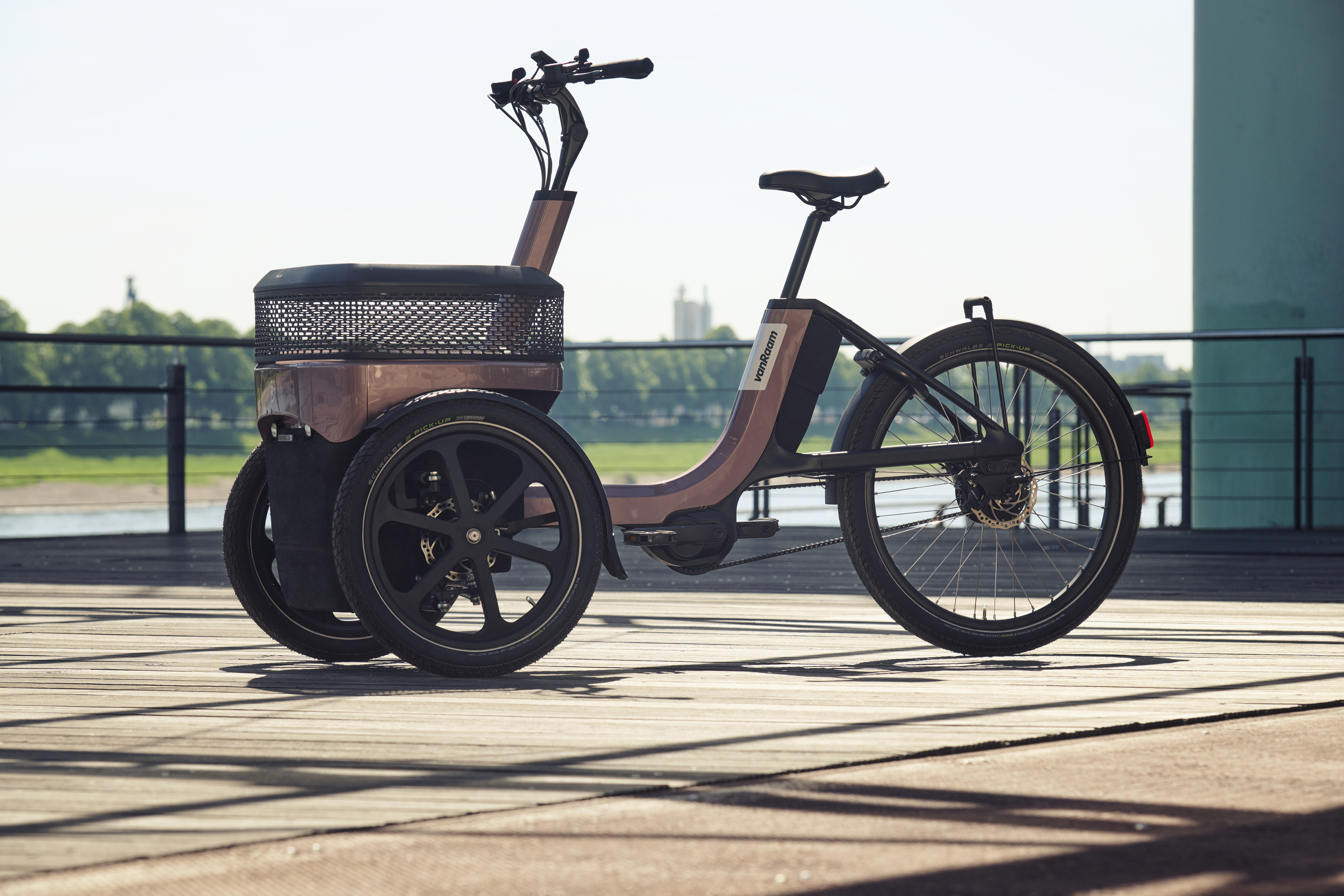 Das Bild zeigt ein vanRaam Thuja