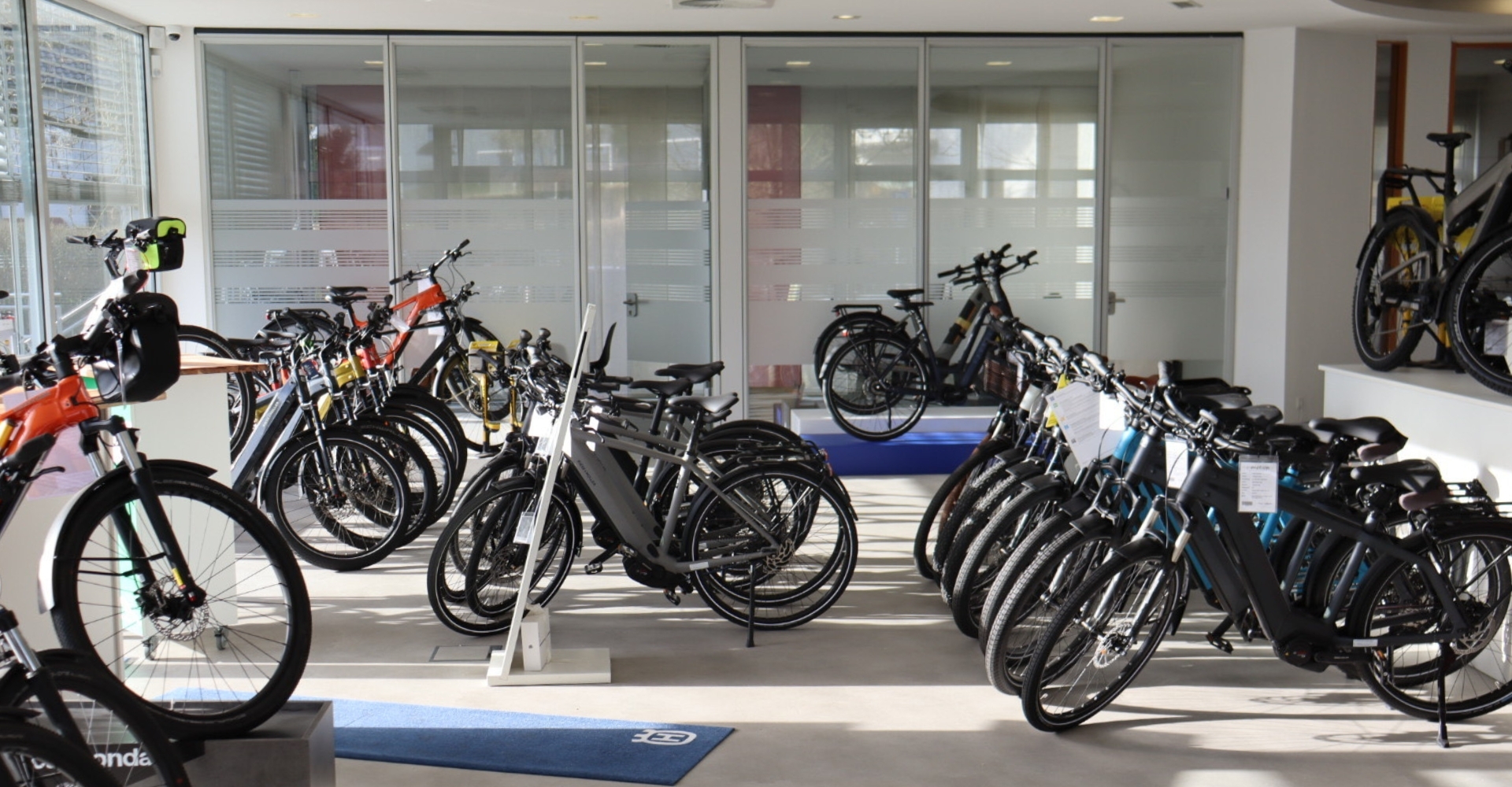 In der e-motion e-Bike Welt in Herdecke wird 2023 20-jähriges Jubiläum gefeiert.