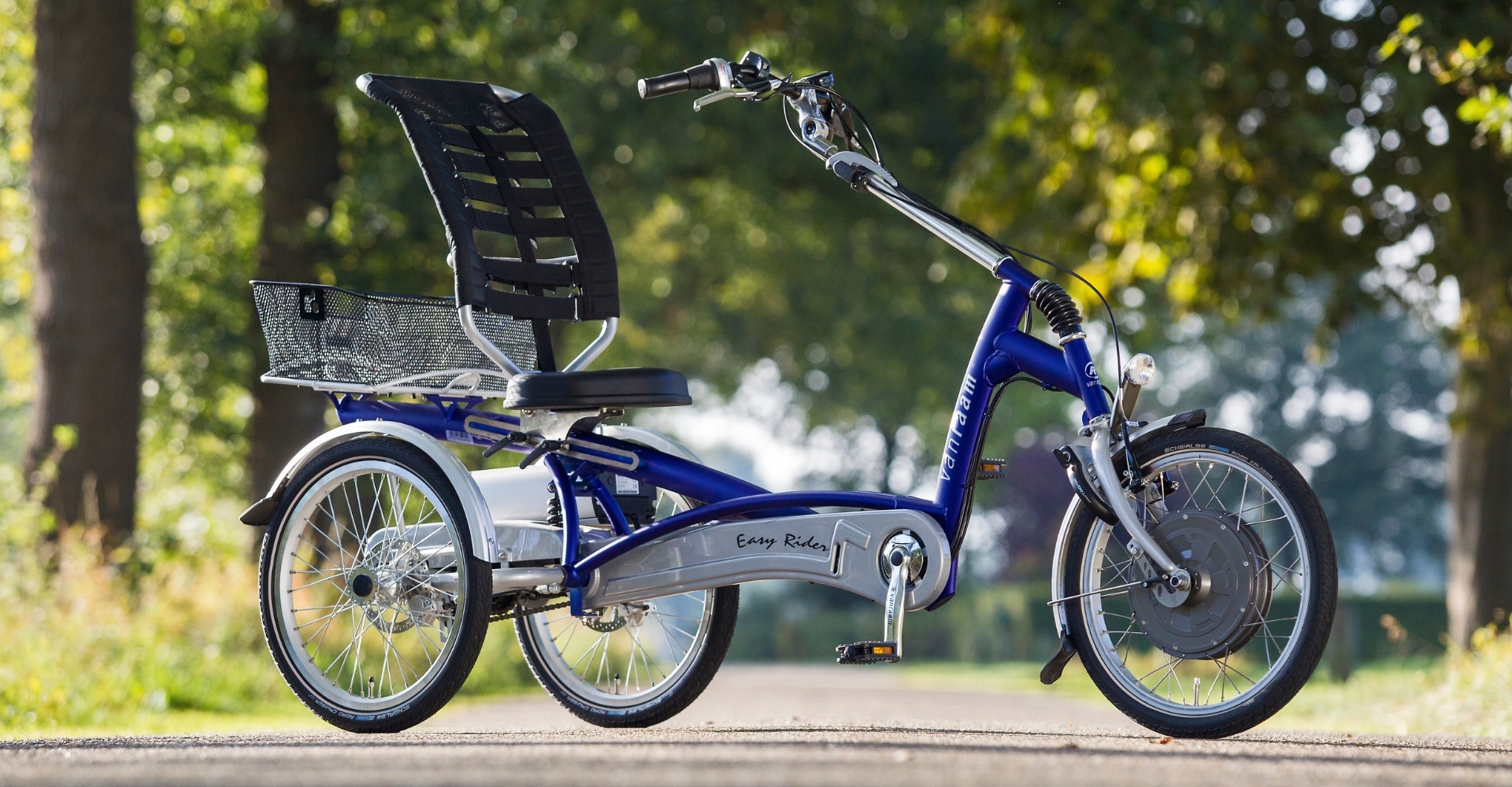 Ein blaues Van Raam easy Rider e-Dreirad steht in einem Stadtpark