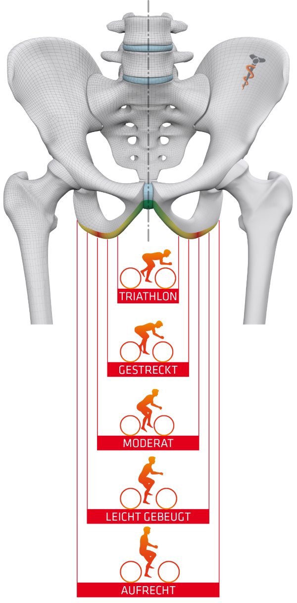 Grafik des Beckens mit verschiedenen Sitzhaltungen auf dem e-Bike