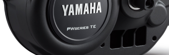 Yamaha PWseries TE