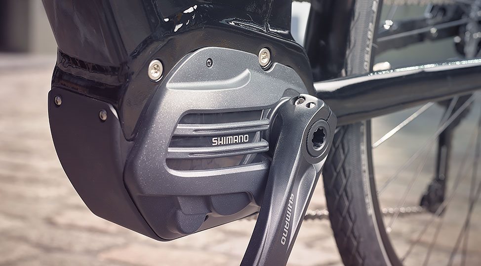 Die Nexus Inter-5E harmoniert perfekt mit dem Shimano Steps E6100  