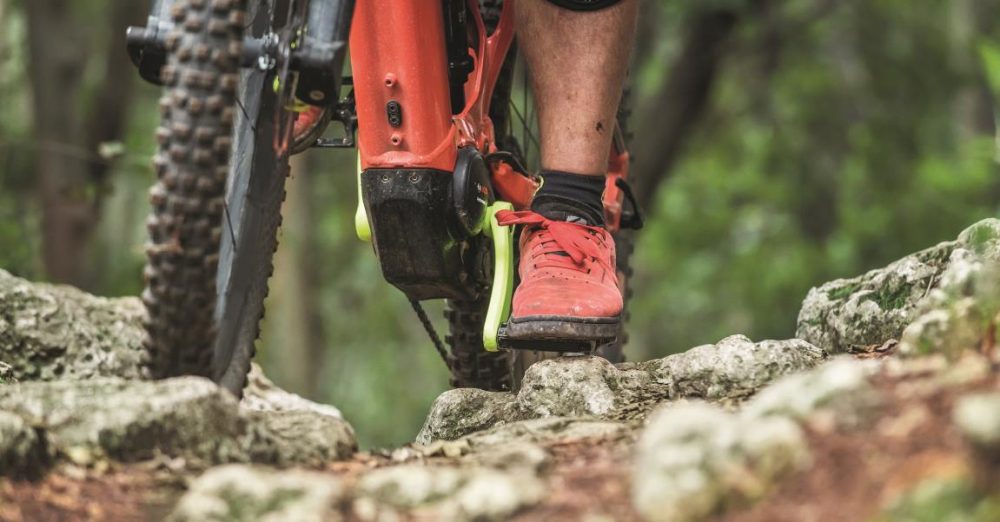 Bosch Antriebe für e-Bikes und Pedelecs bei e-motion Probefahren!