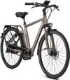 eT17 00003468 01 de Raleigh NEWGATE PREMIUM HARMONY 2017