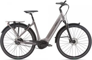 Giant Dailytour E+ 1 BD 2019
