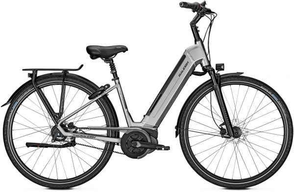 Raleigh Bristol Premium 2019 City e-Bike