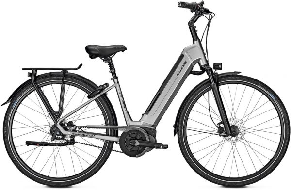 Raleigh Bristol Premium RT 2019 City e-Bike