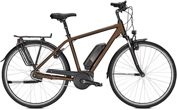 Raleigh Jersey 8 2019 City e-Bike