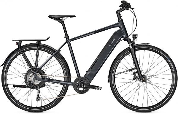 Raleigh Stanton 10 2019 Trekking e-Bike