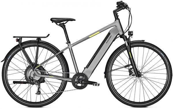 Raleigh Stanton 9 2019 Trekking e-Bike