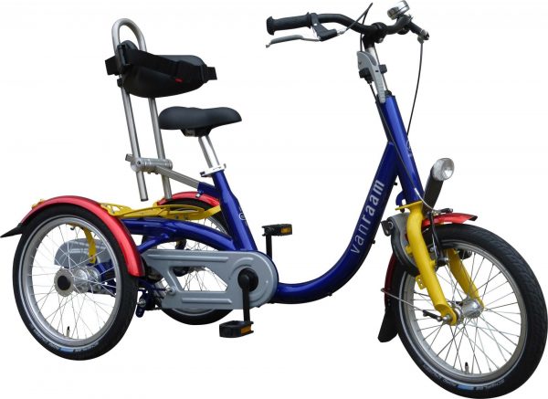 Van Raam Mini 2019 Dreirad für Erwachsene