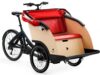 eT19 00000213 01 de Triobike taxi 2019