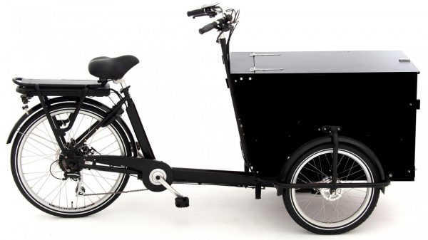 Babboe Pro Trike-E 2020 Lasten e-Bike