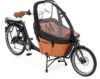 eT20 04824 03 de Babboe Mini-E 2020