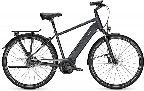 Raleigh Bristol 8 2020 City e-Bike