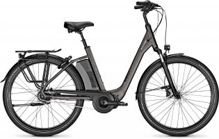 Raleigh Corby 8 XXL RT 2020