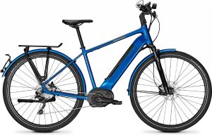 Raleigh Kent 10 S 2020 Trekking e-Bike,Urban e-Bike,S-Pedelec