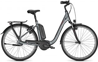 Raleigh Kingston 8 RT 2020