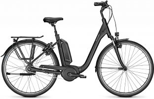 Raleigh Kingston 8 RT 2020