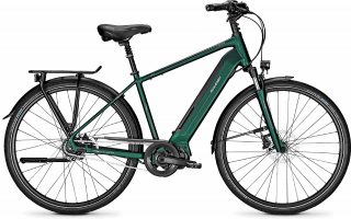 Raleigh Sheffield 8 2020