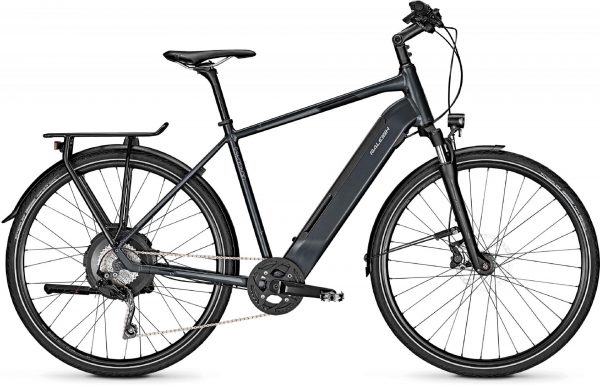 Raleigh Stanton 10 2020 Trekking e-Bike