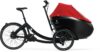 eT20 06054 01 de Triobike mono e 2020