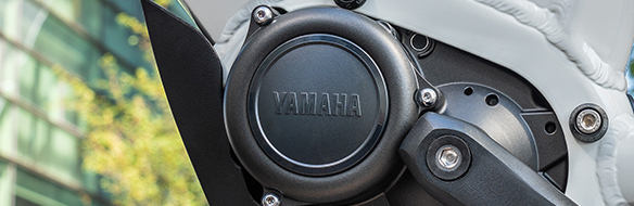 Yamaha PWseries CE