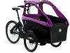 eT20 06062 02 de Triobike boxter e Nexus 2020