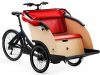 eT20 06066 01 de Triobike taxi 2020