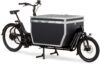 eT20 06080 02 de Urban Arrow Cargo L Flatbed CX 2020